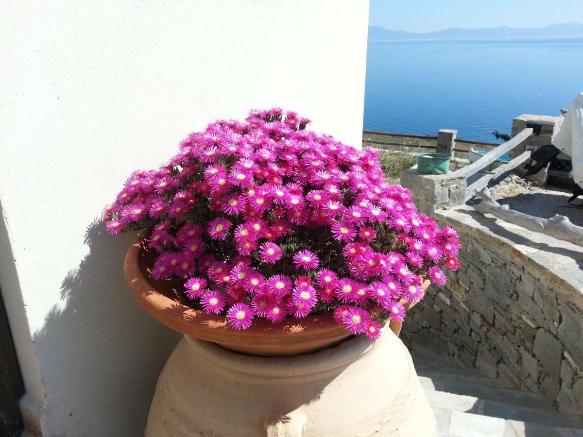 Aegean View - Seaside Apartment In Syros Azolimnos Exterior foto